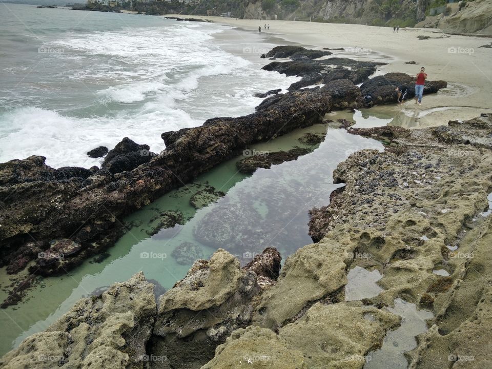 tide pool