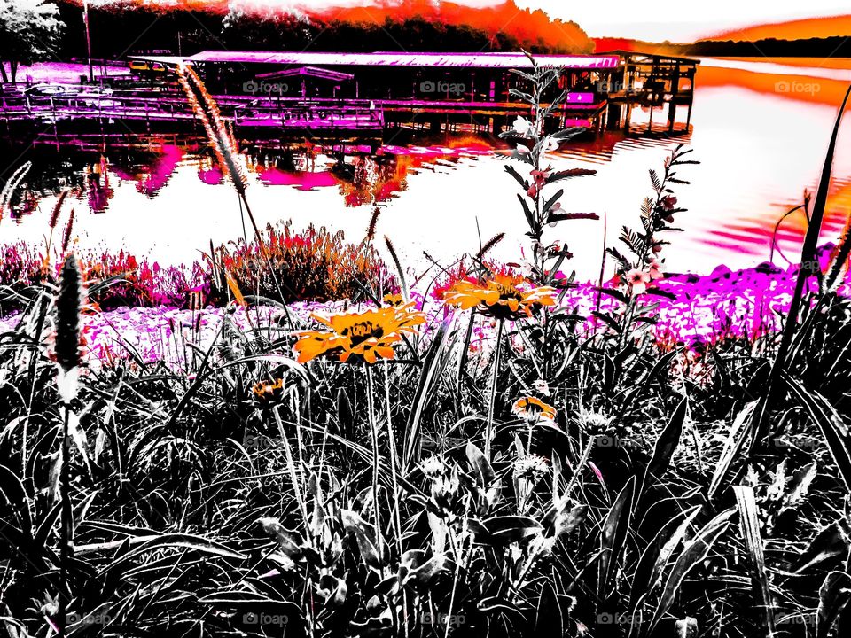 Blooming flowers Lakeside 