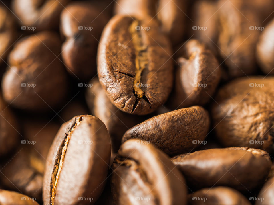 Full frame of coffee bean