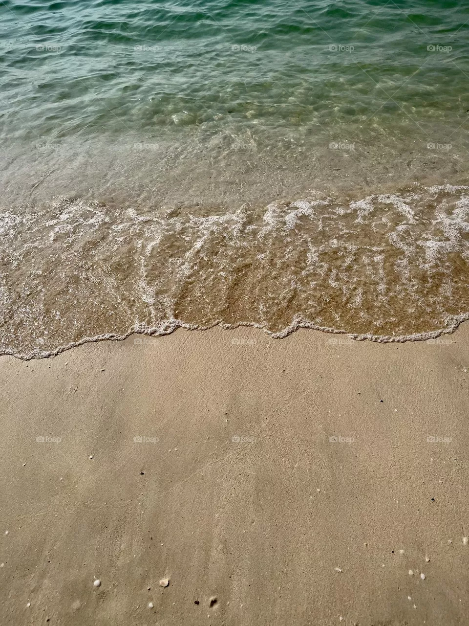 Sand and sea 