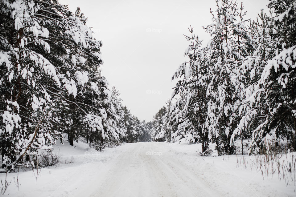 Russia road winter 