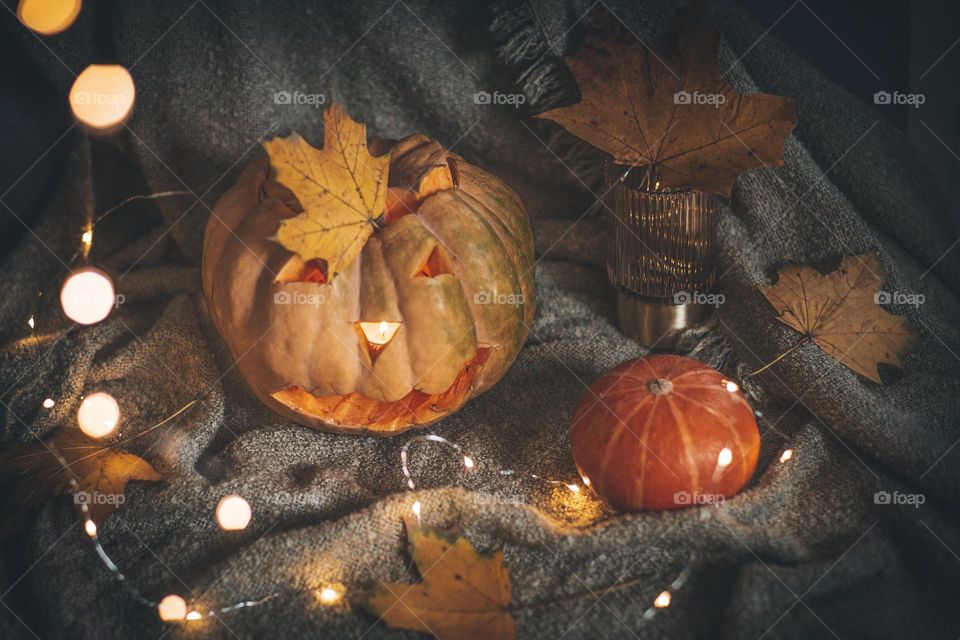 pumpkin still life