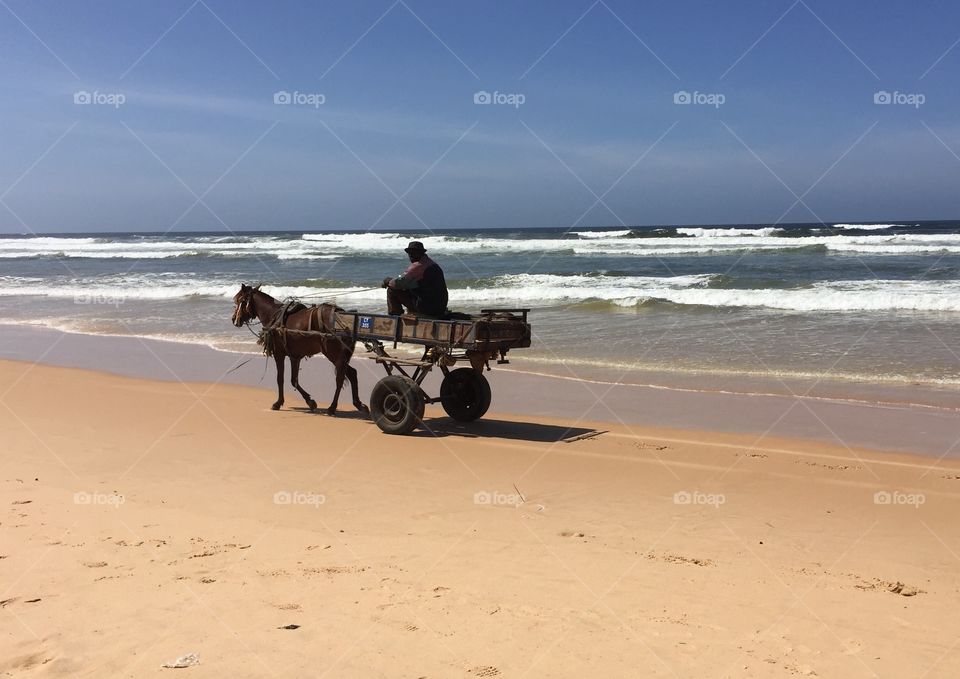 Horse and cart on the beach