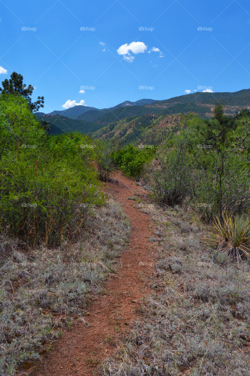 mountain trail