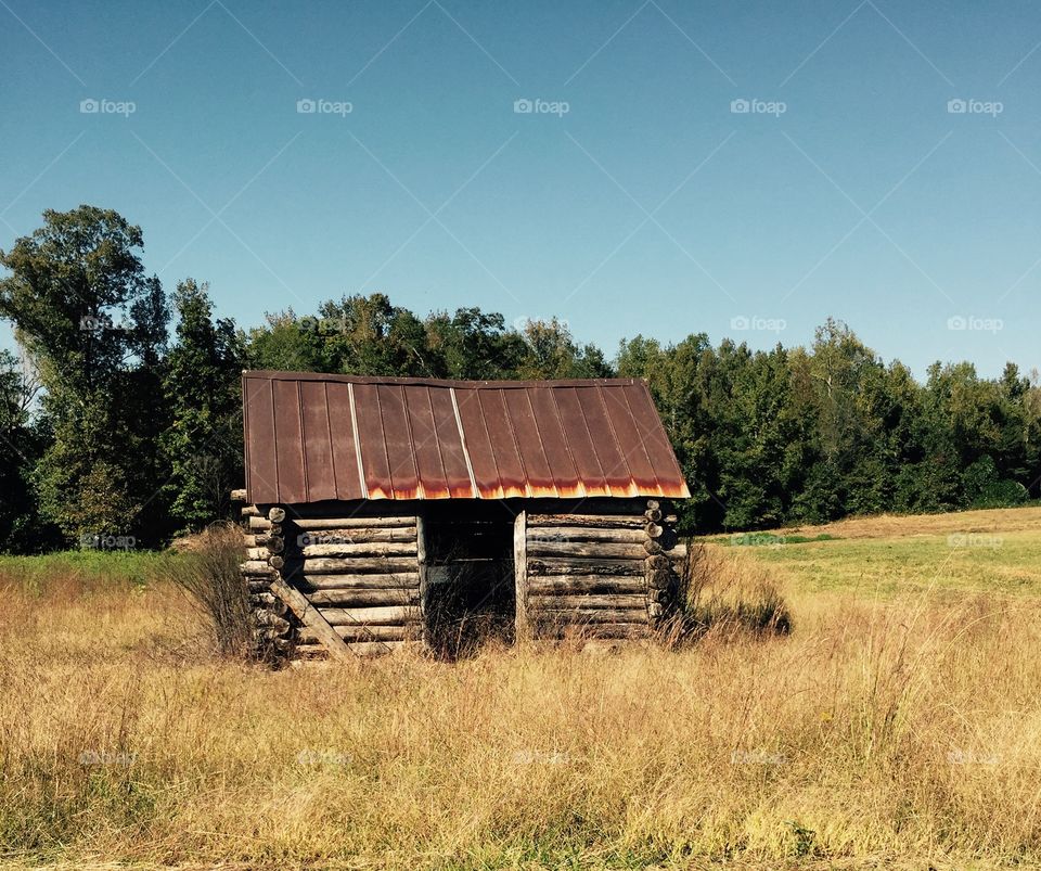 Old Log cabin in a field.