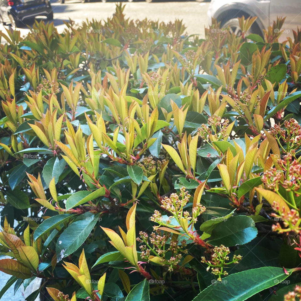 Spring in March.  Windy and cold 