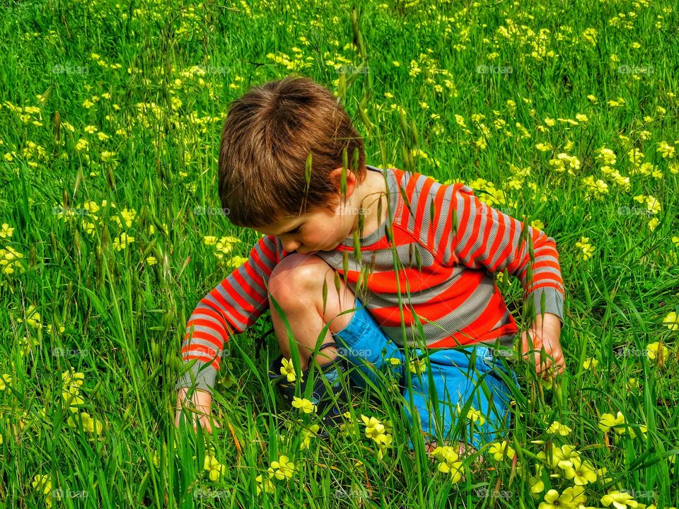 Young Boy In California Coastal Garden