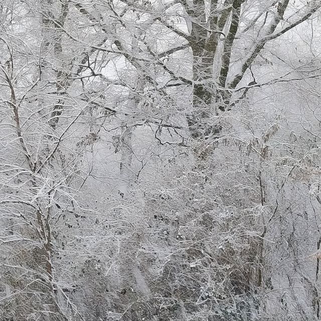 frost