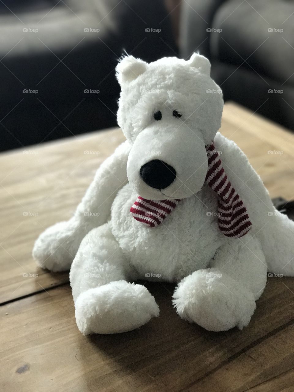 White teddy bear with a red scarf