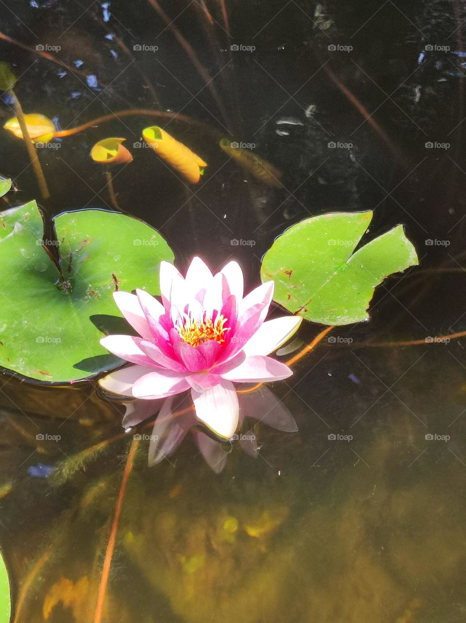 It's so nice 😍😍😍