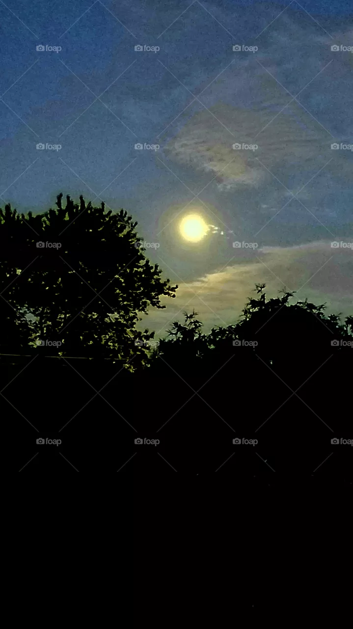 Summer moon