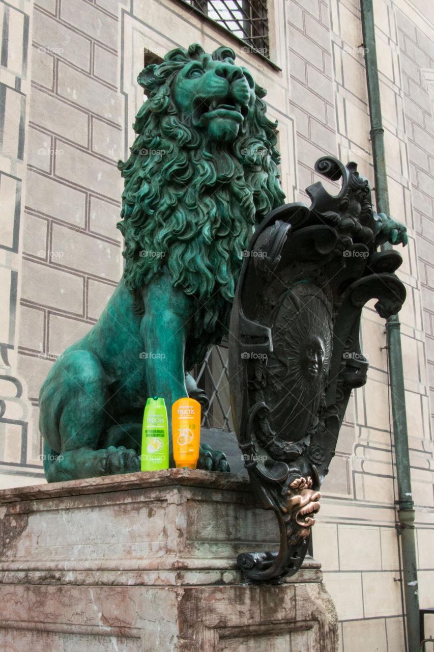 Lions and shampoo and conditioner 