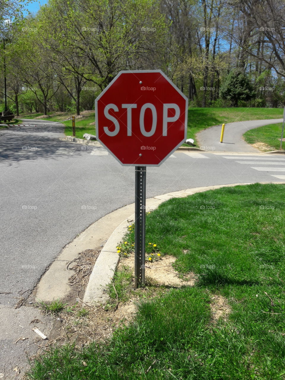 Stop sign, signage, asphalt,  grass, parks,