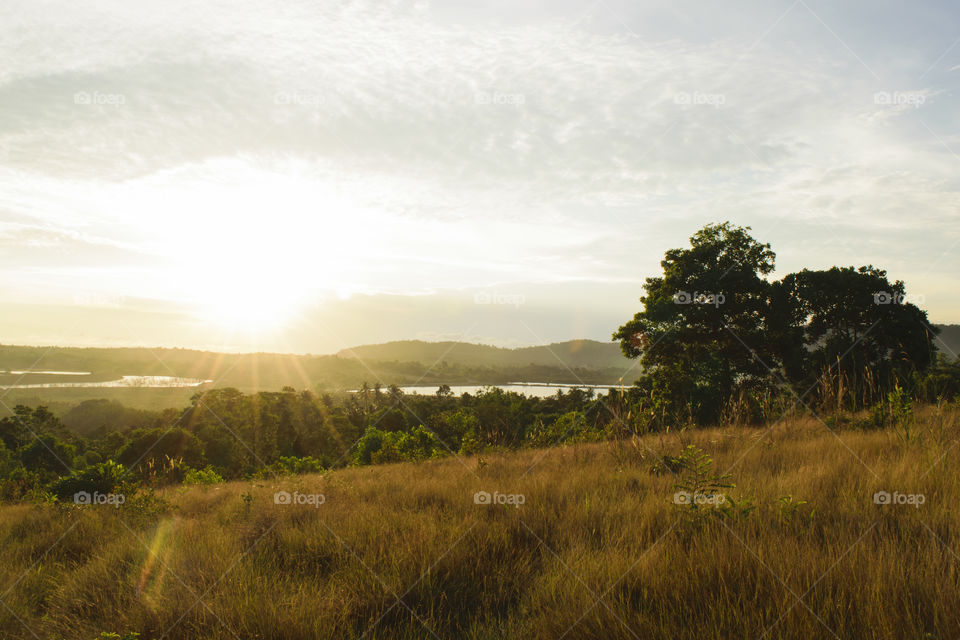 Landscape hiking trails