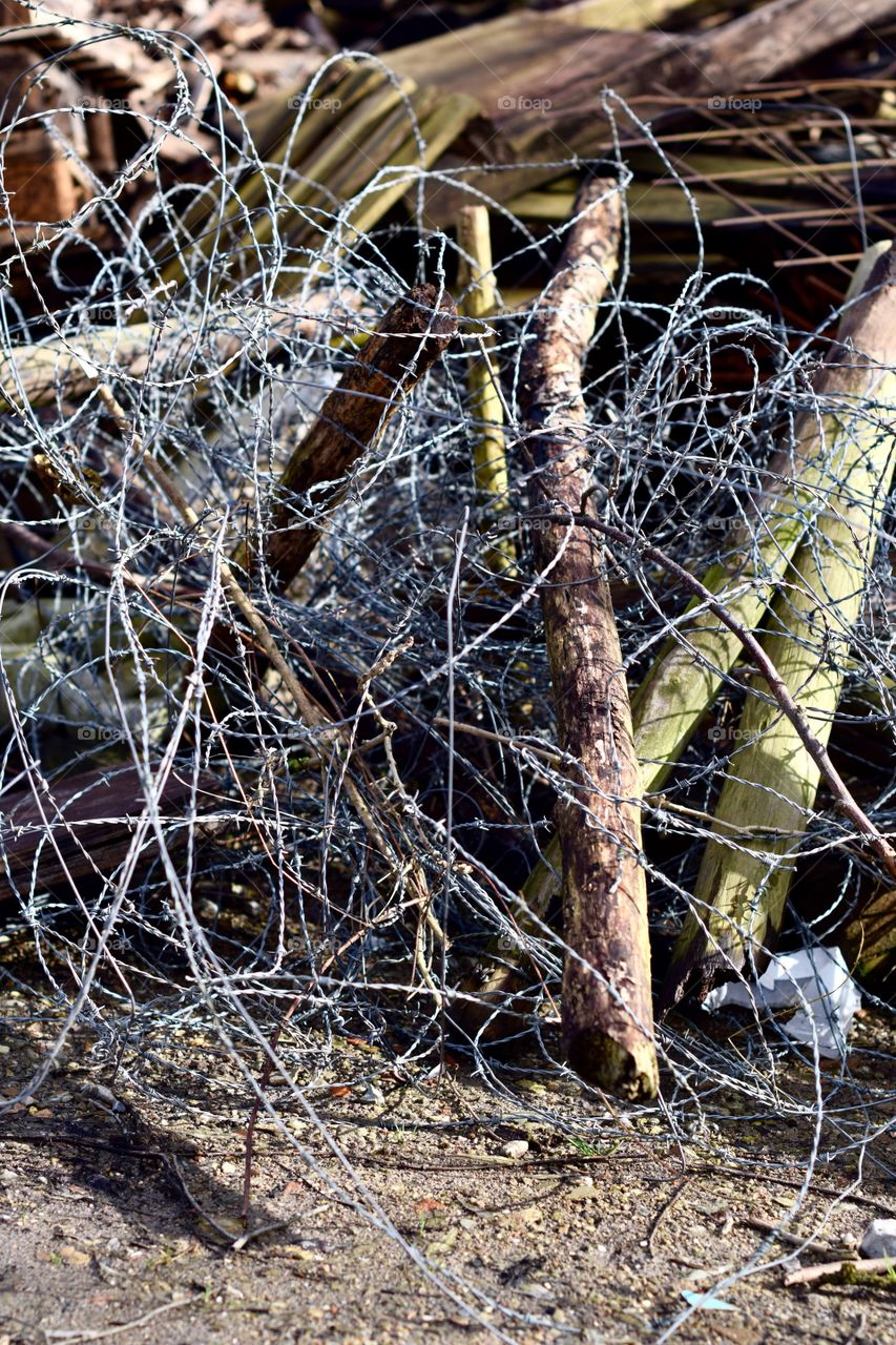Barbed wire near a fortress in the woods. (Nikon D3300, Nikkor 50mm 1.4g)
