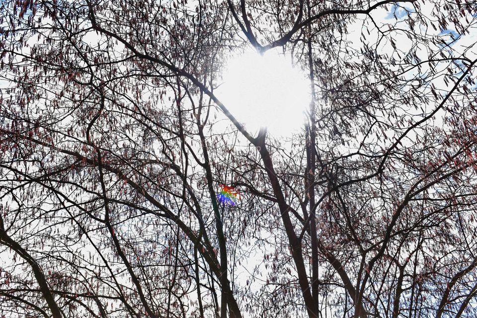 Mirror-related rainbow