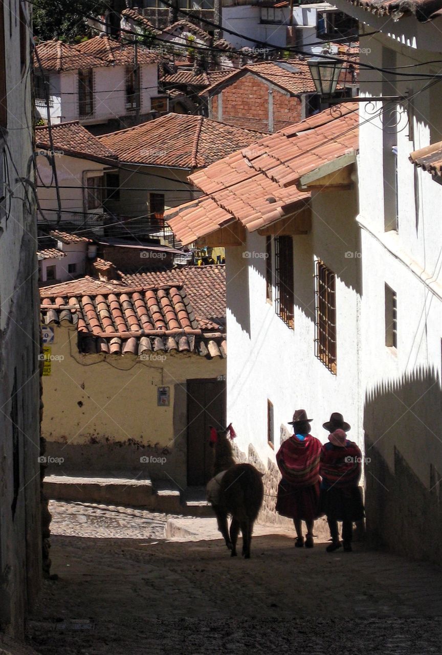 Cuzco women and alpaca