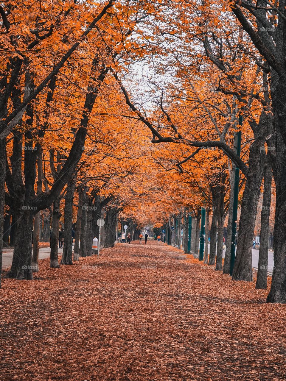 Dare to be different.  Each color in this photo will be experienced differently by each of us.  How beautiful life is.  Is it?