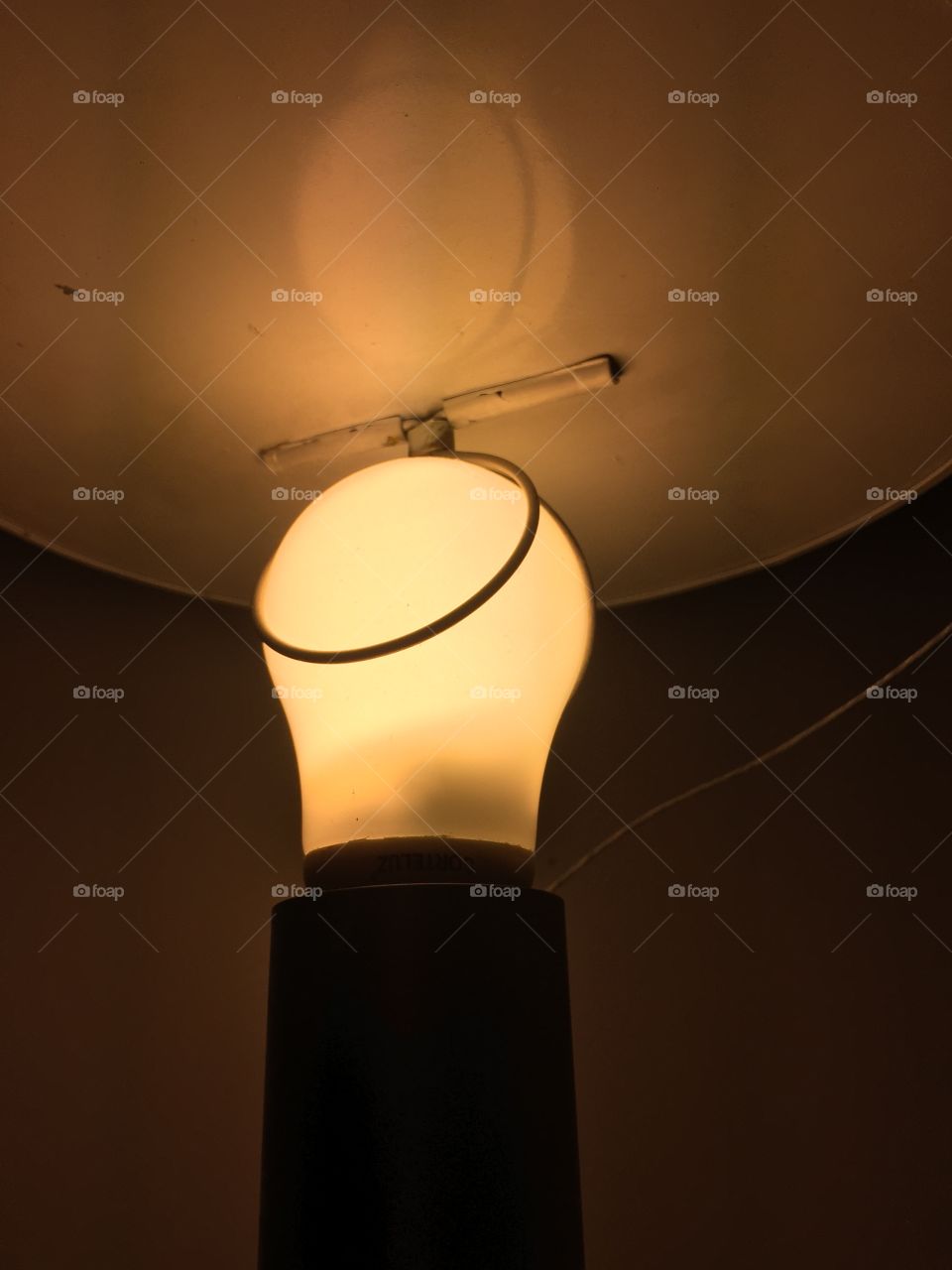 Lightbulb 