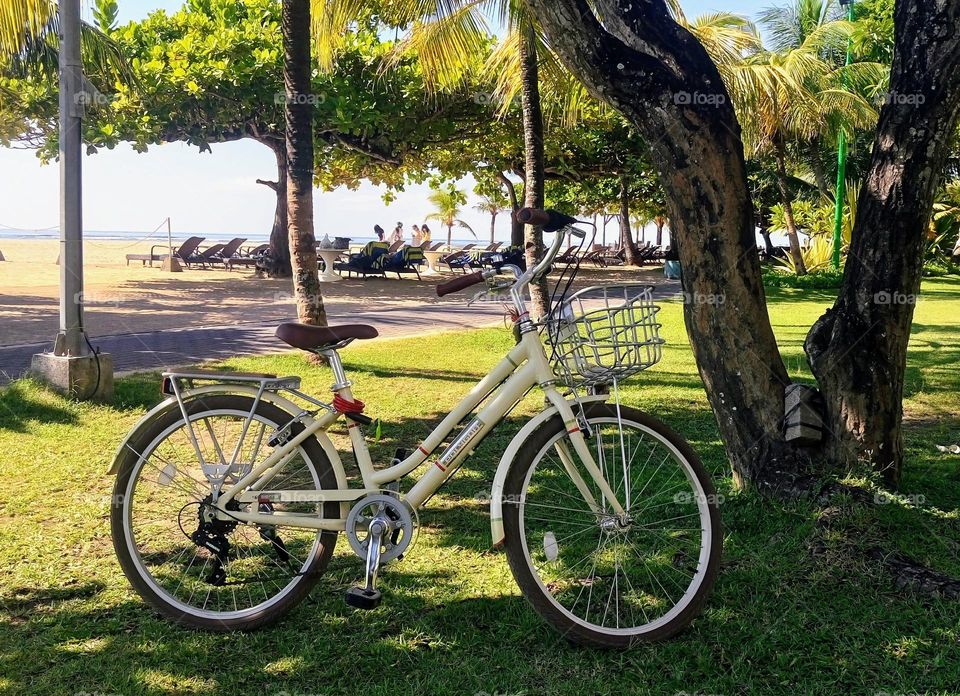 Bicycle 🚲 Summer time 🚲 Good weather 🚲