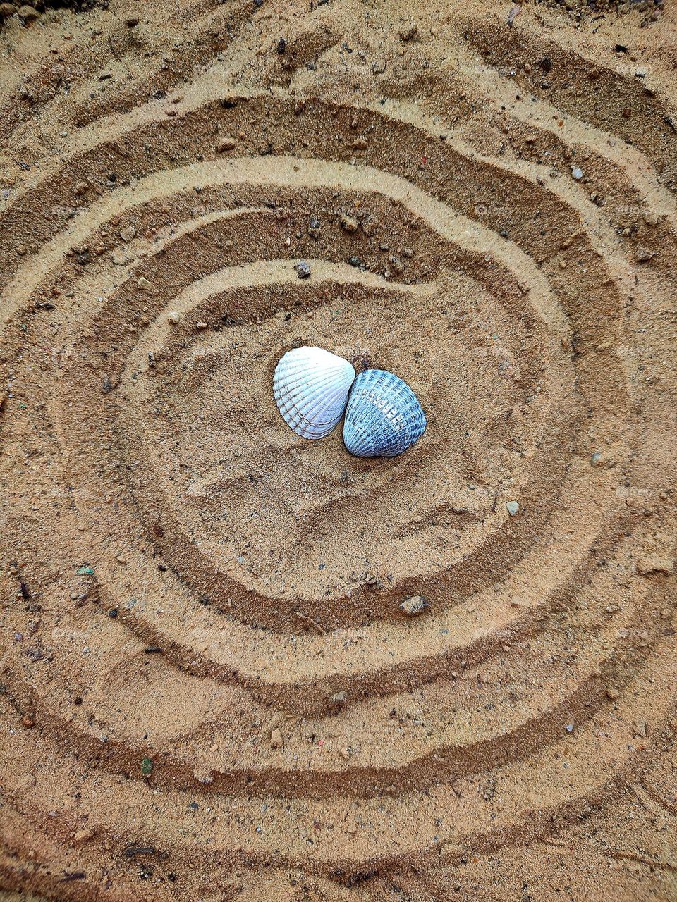 Minimalism of objects that are connected by the same meaning.  Two seashells on the sand: white and dark.  The yin-yang symbol.  Abstract spiral lines around seashells on the sand