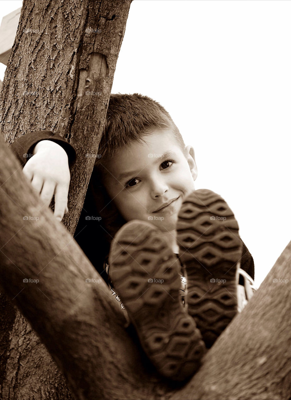 Just "Hanging out" in the tree in our backyard.