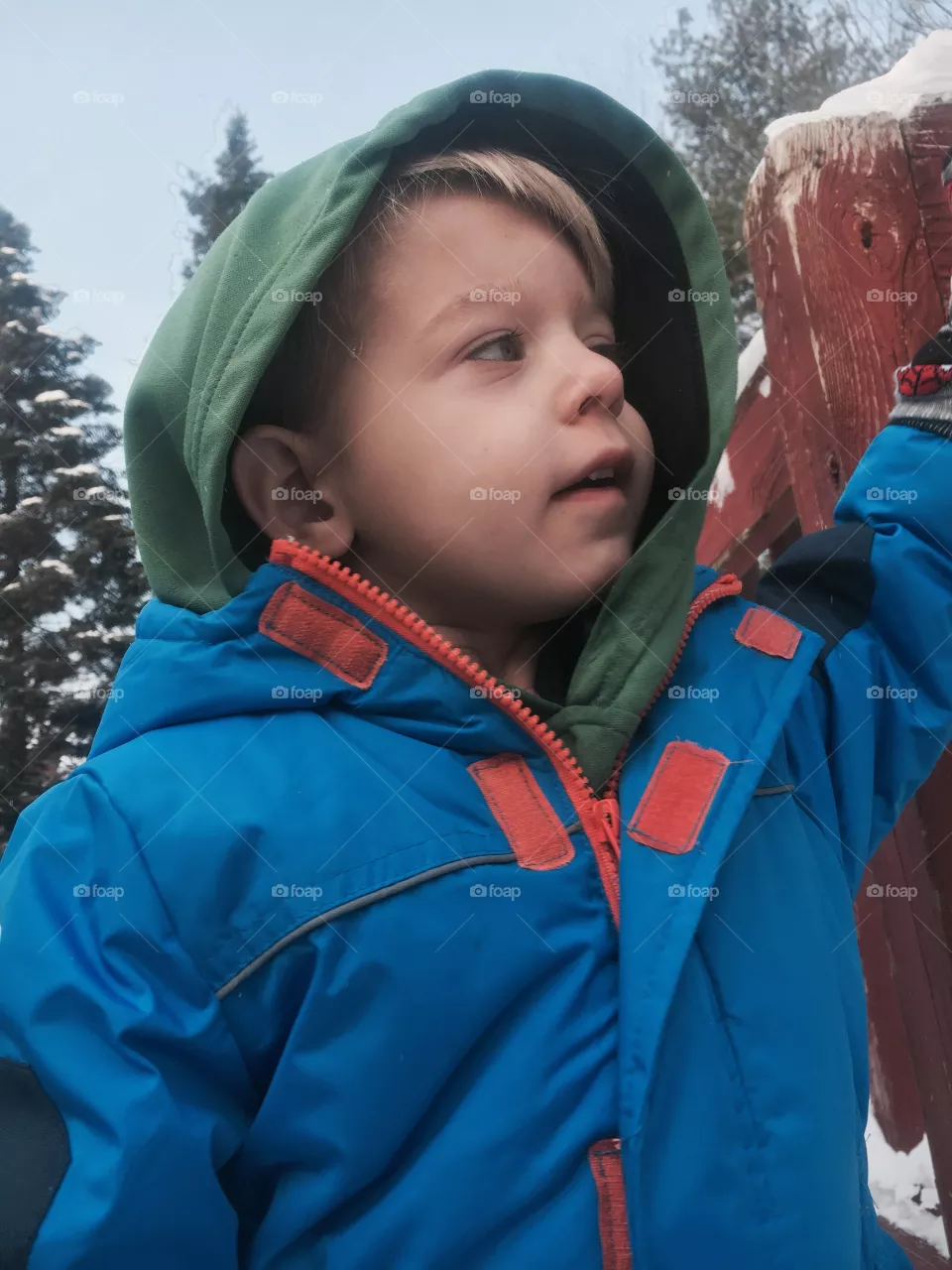 Snow 