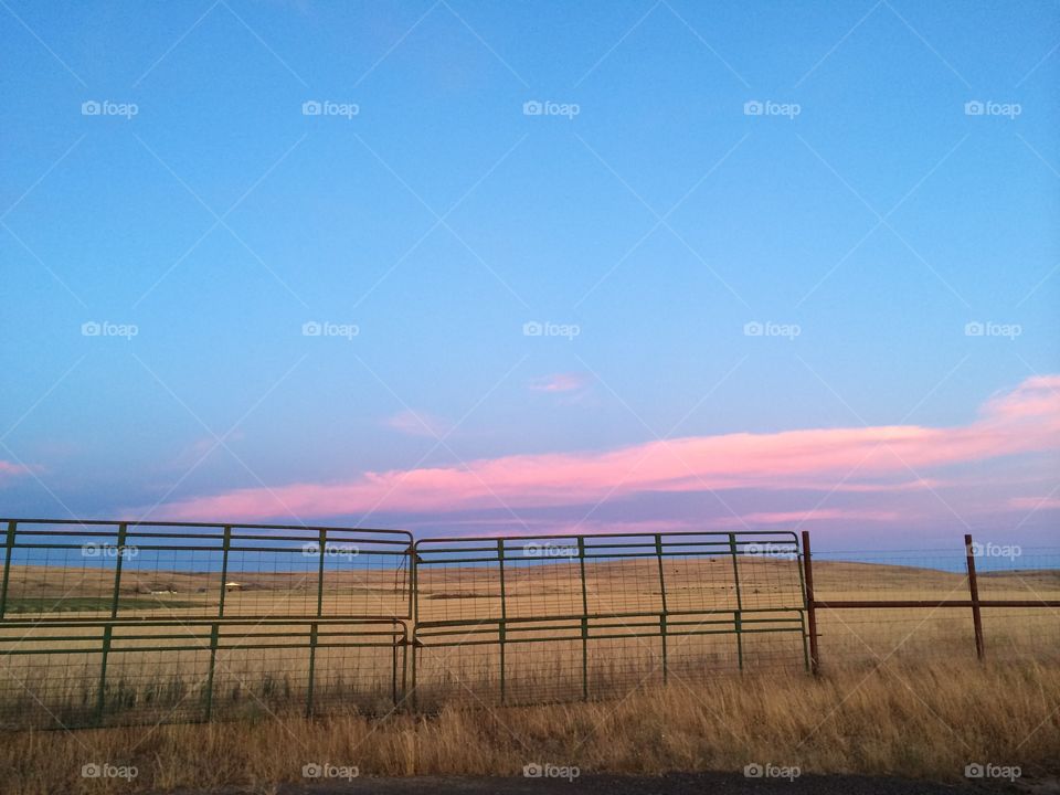 Fence, Landscape, Sky, Barbed Wire, Nature