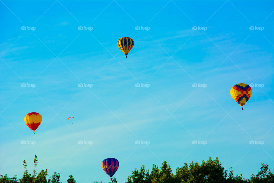Hot-air Balloons In The Sky