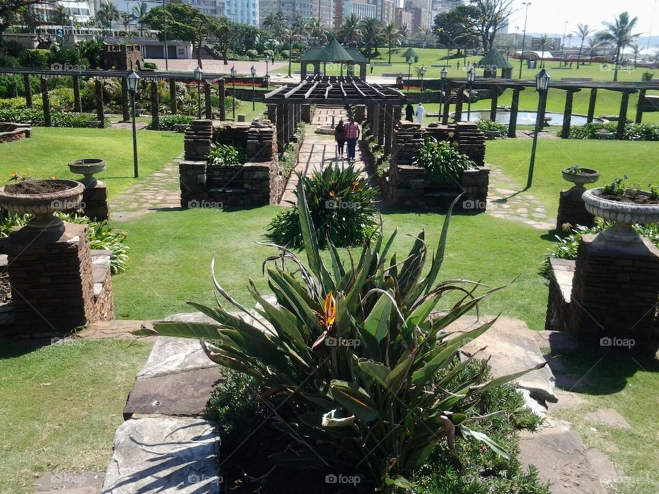 Durban. garden in durban beach front