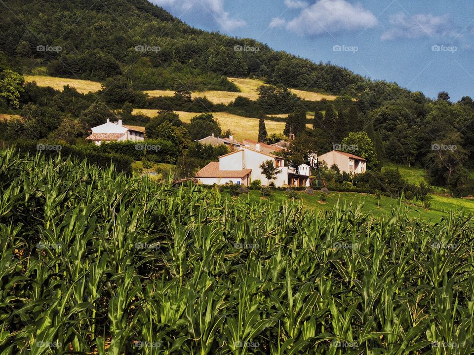 Pyrenees. Ariege 