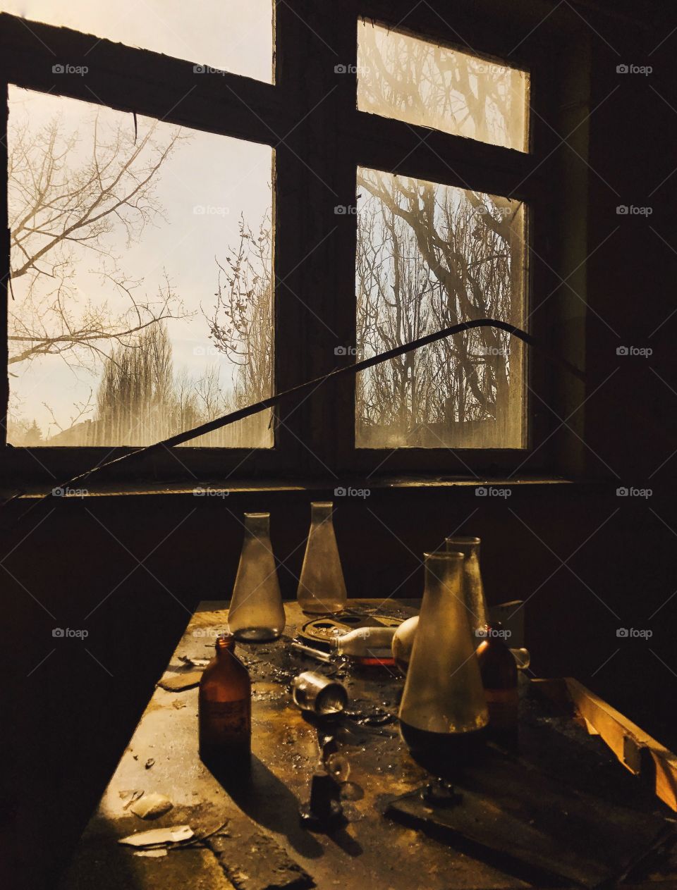 Window, Table, Light, House, Room