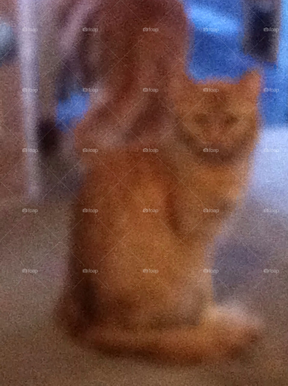 Blur, Abstract, No Person, Texture, Desktop