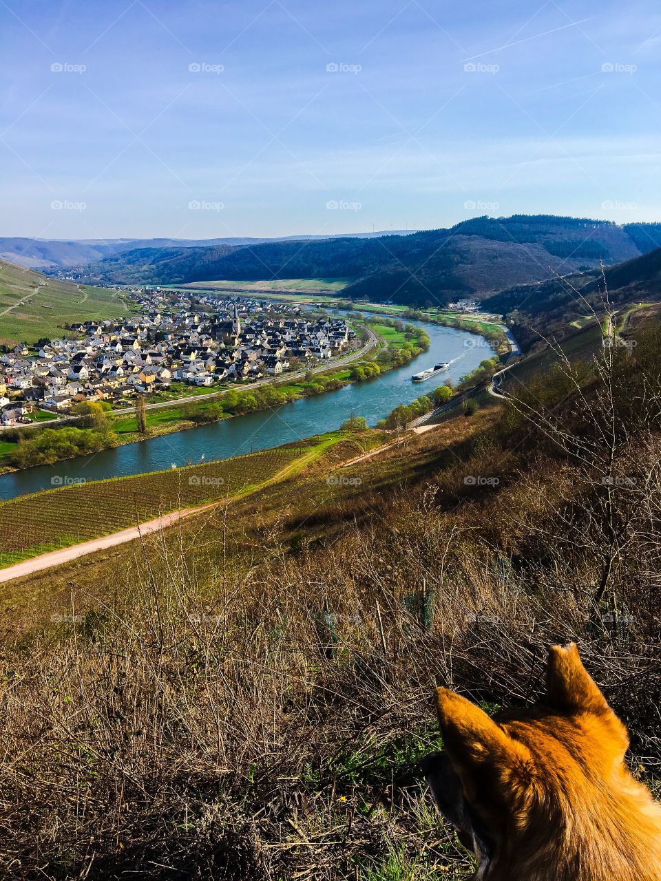 Moselle valley Landscape Travel attraction Germany 