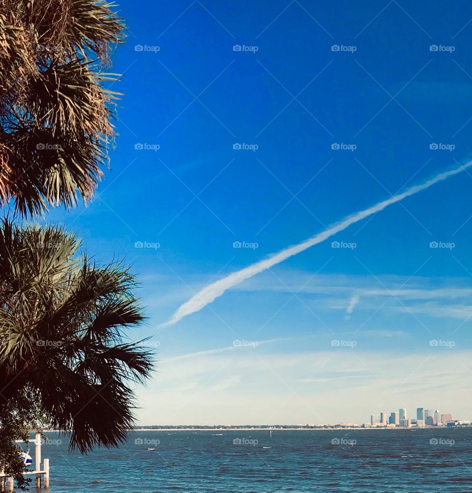 Palm trees by the water over blue sky city