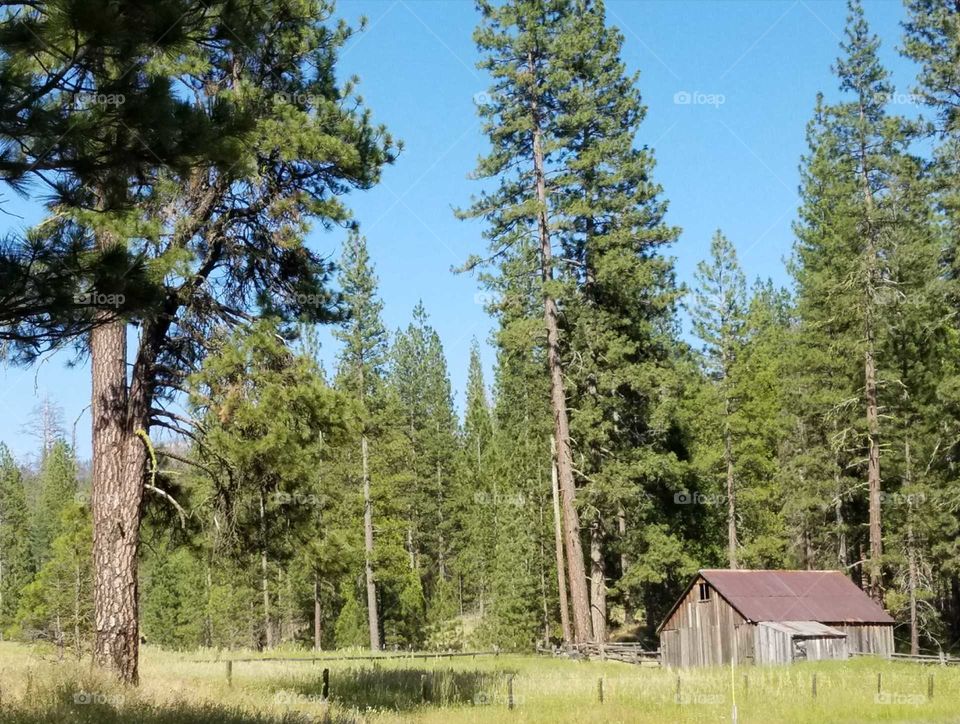 through the mountain pass