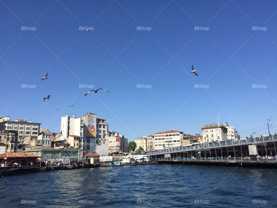 Bridge and city view 