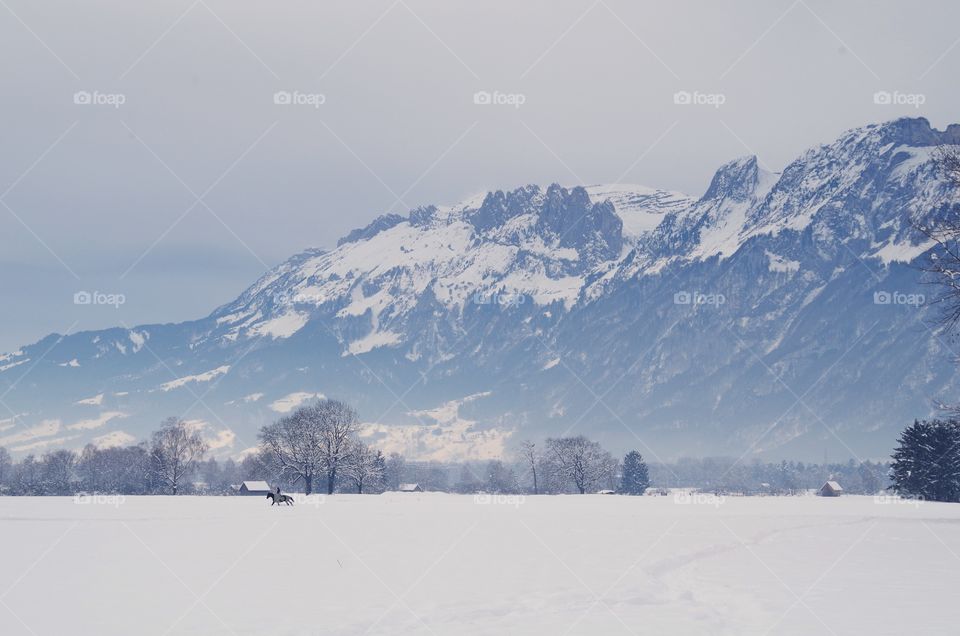 Horse riding in snow