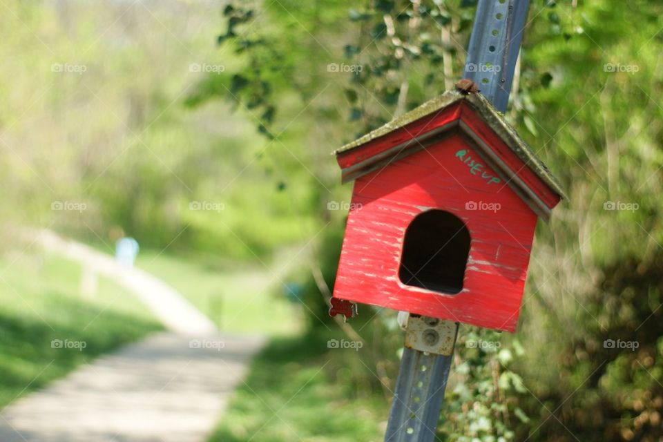 Birdhouse path