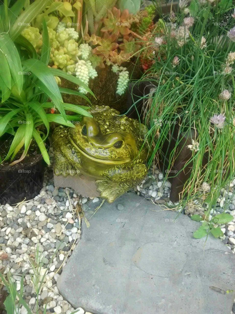 frog statue in the garden