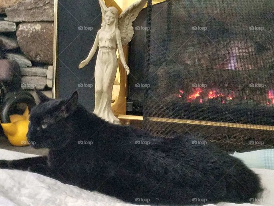 Black cat laying prone in front of burning fireplace & Angel statue.