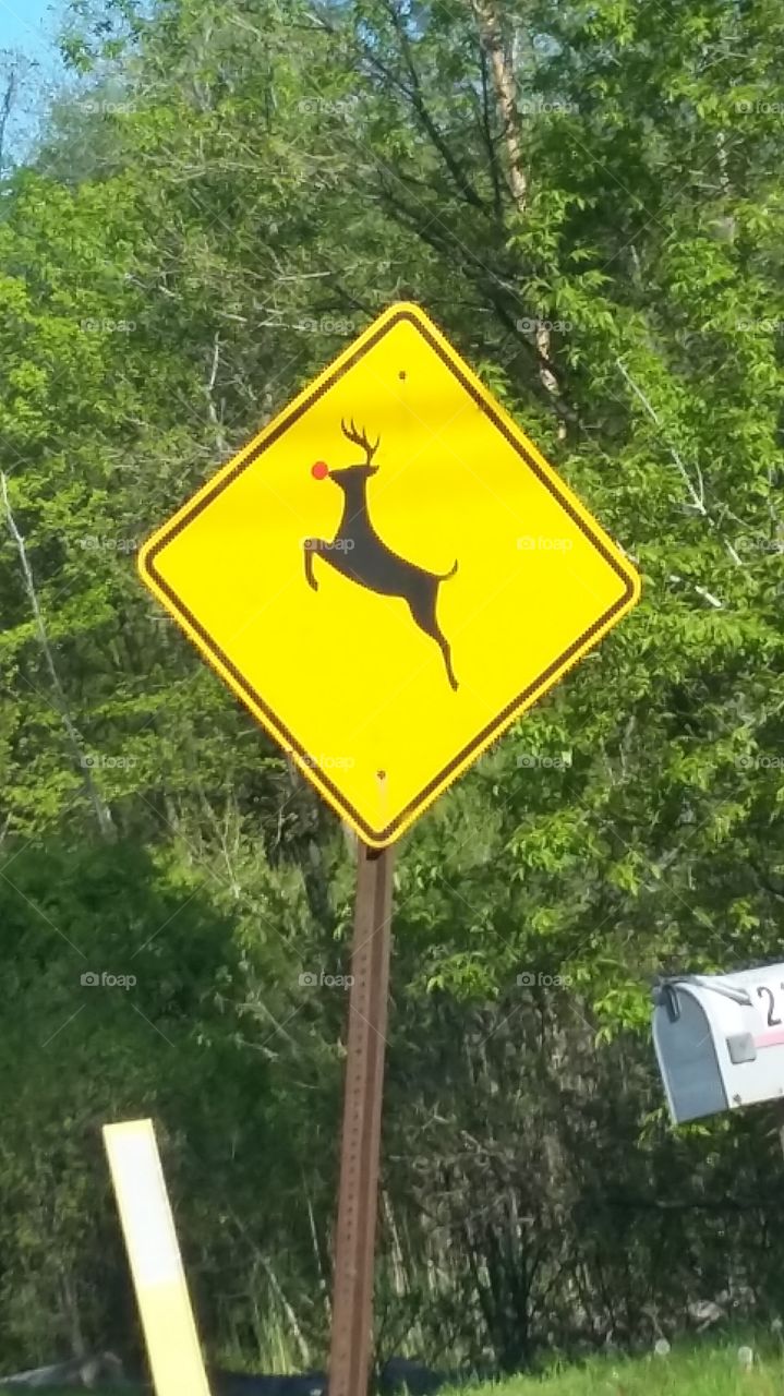 Rudolph Crossing