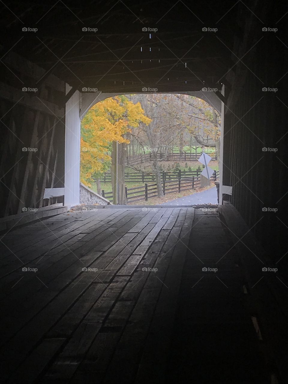 I like the light at the end of that bridge 