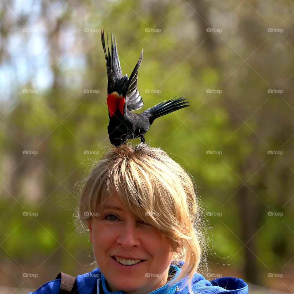 red-winged blackbird