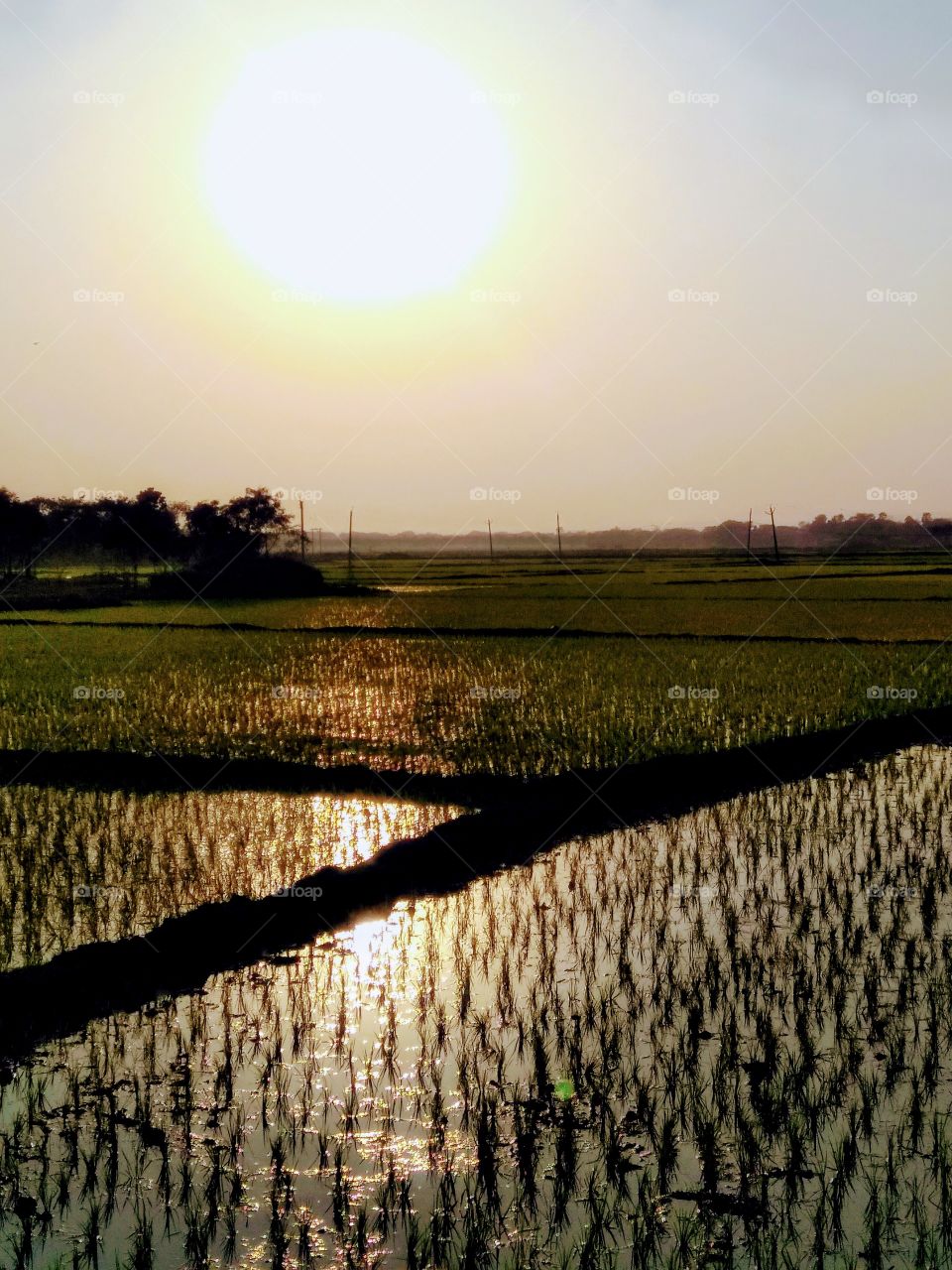 evening time sunlight