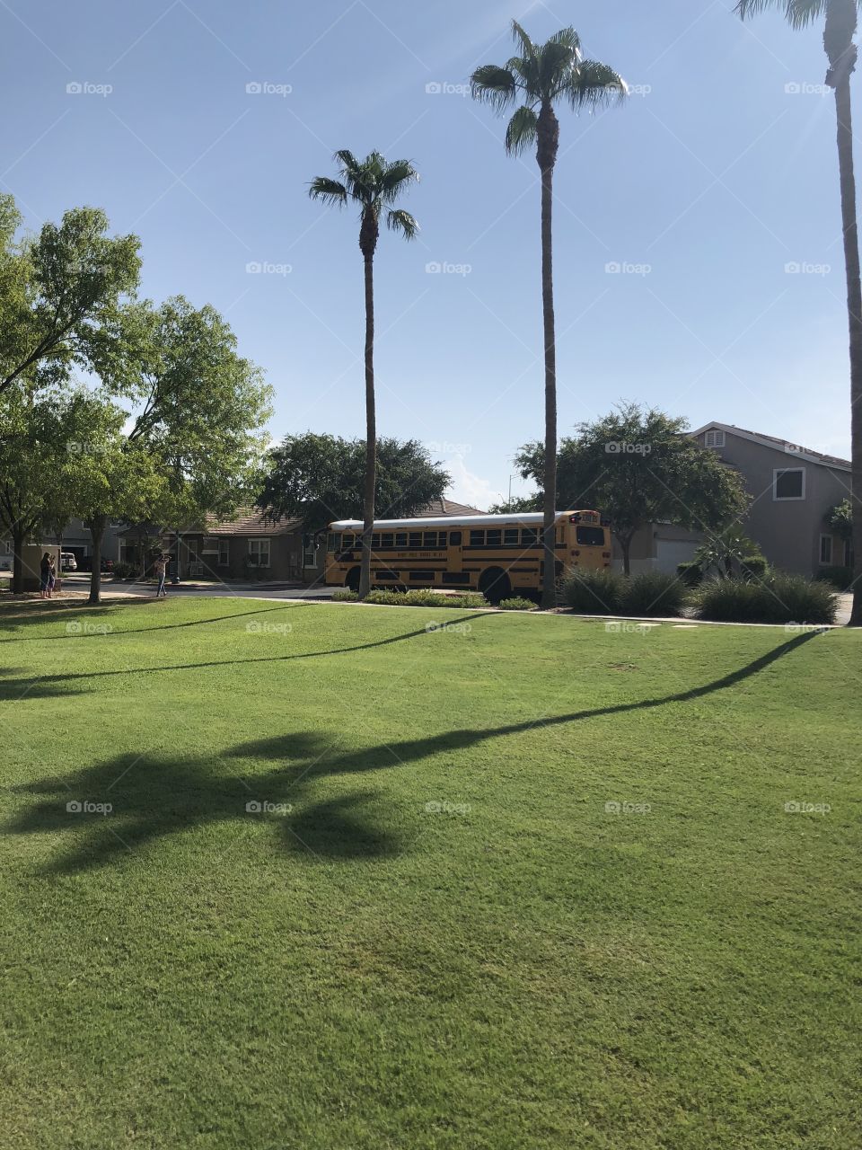 A school bus stopping at a neighborhood park