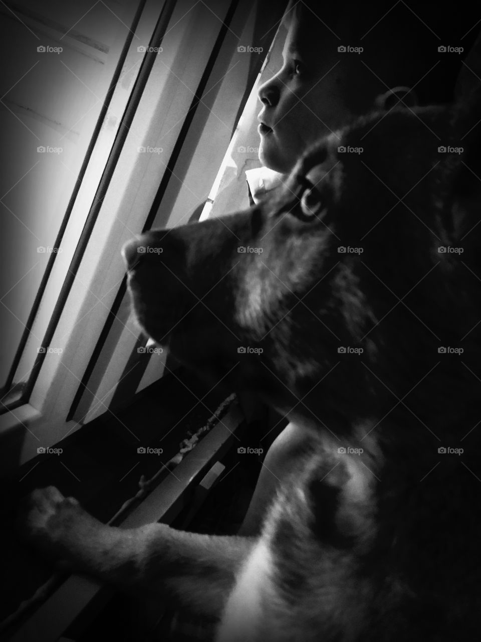 This wonderful world from the window.