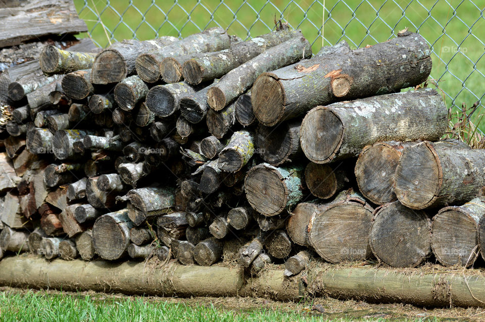 Stacked firewood