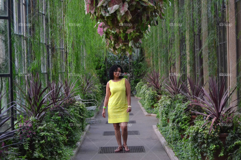 In the Presence of Beauty