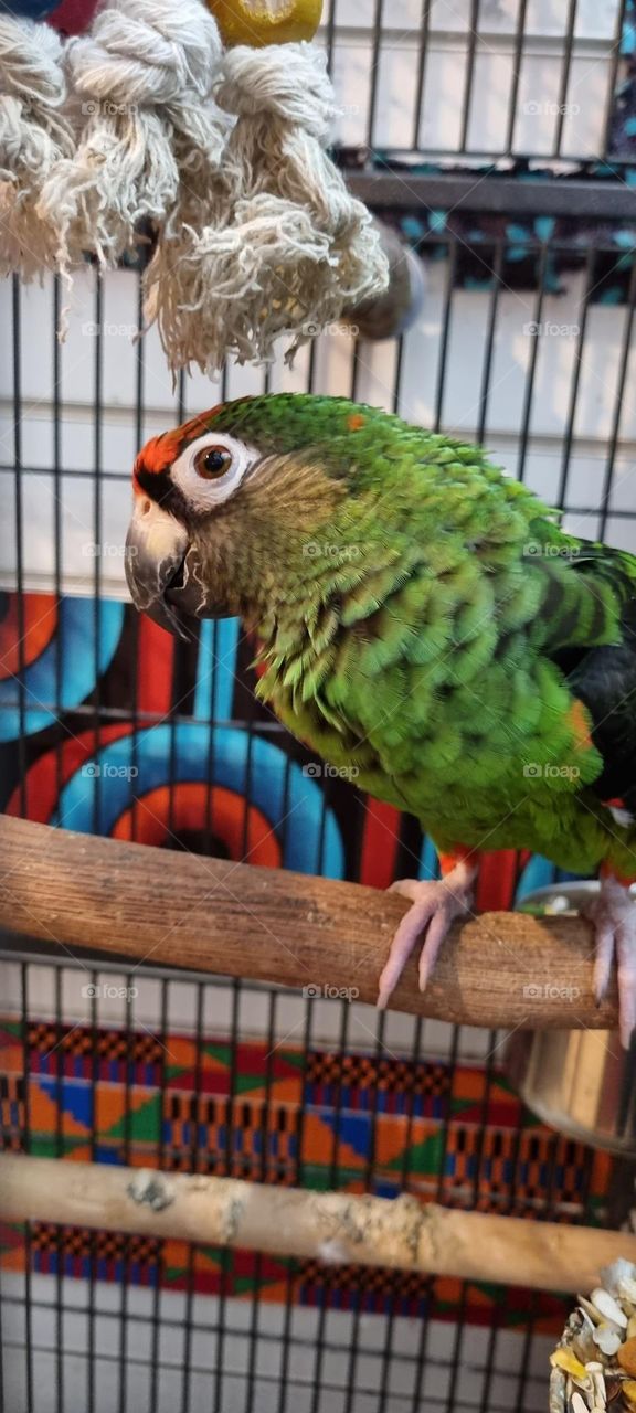 poly be looking at you